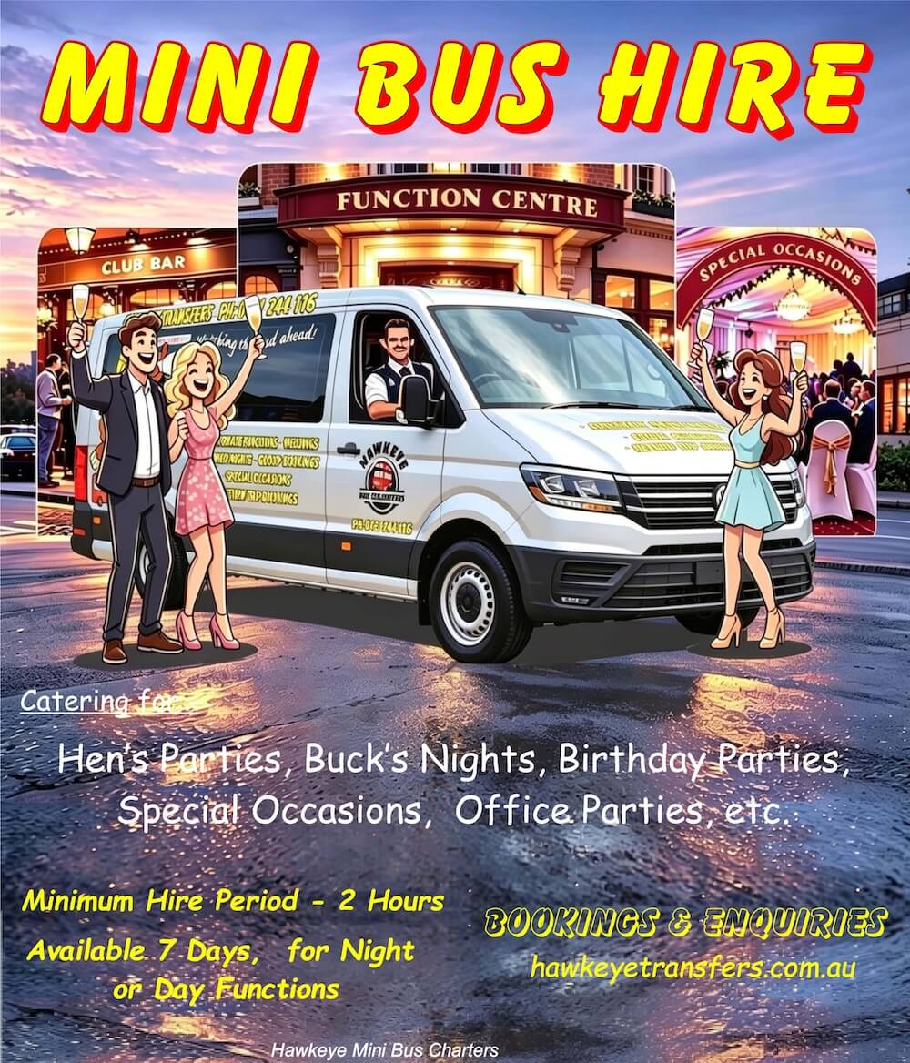 Party Transfer Services Flyer 2